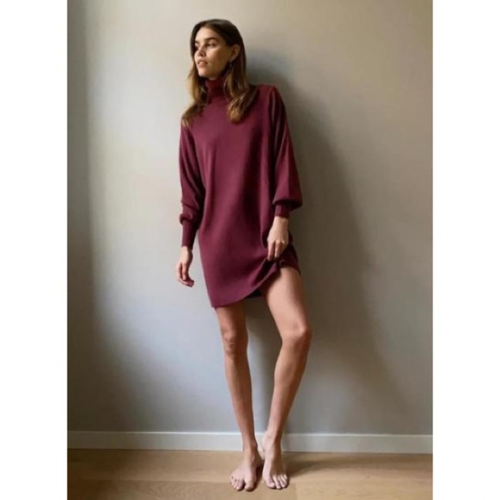 Aritzia Wilfred Rebecca alpaca wool dress